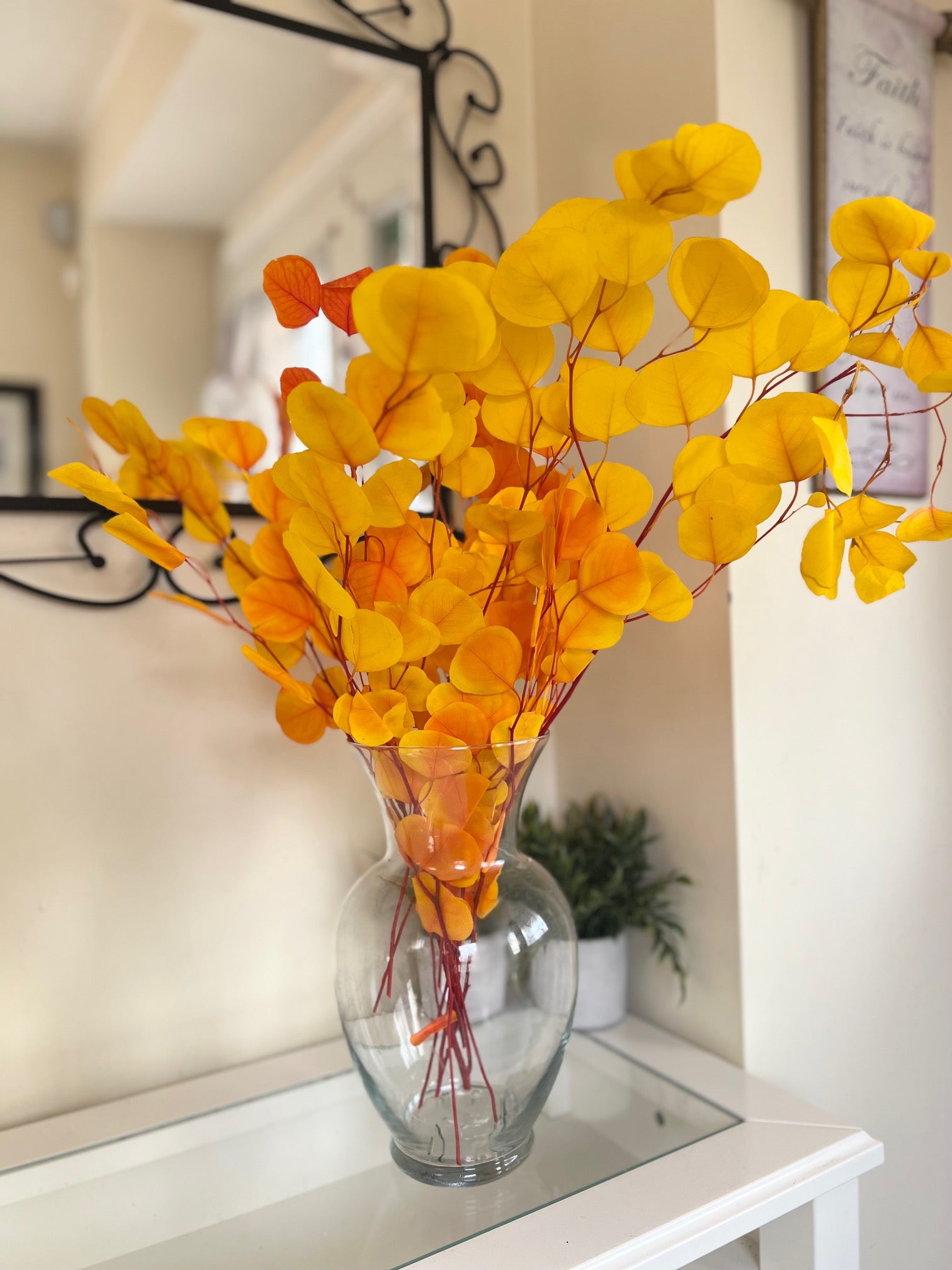 Silver Dollar Eucalyptus